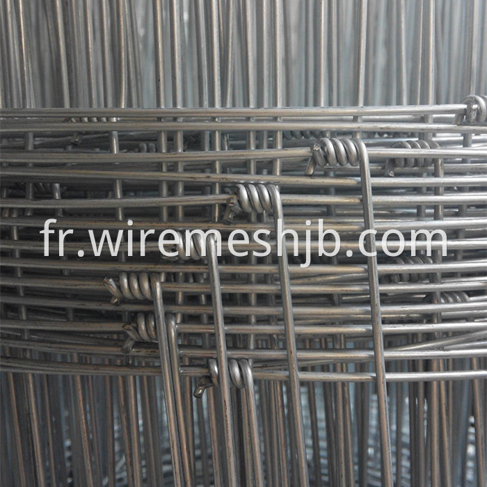 Hot Dipped Galvanized Cattle Fence